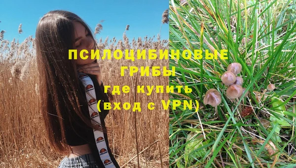не бодяженный Ельня
