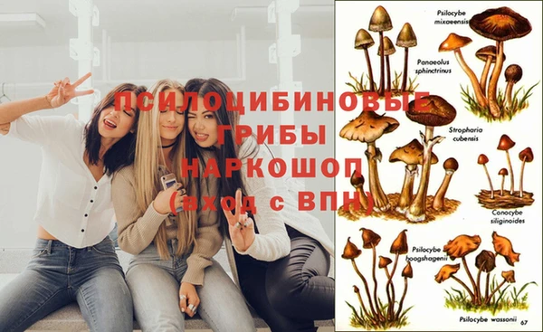 не бодяженный Ельня
