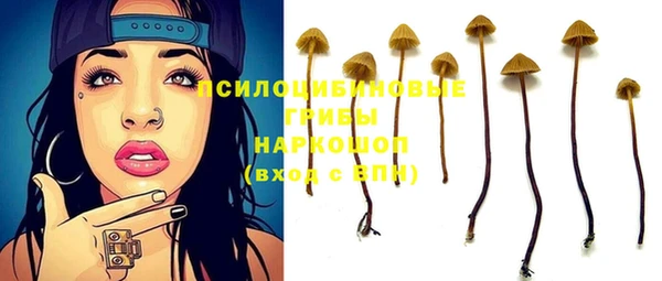 не бодяженный Ельня