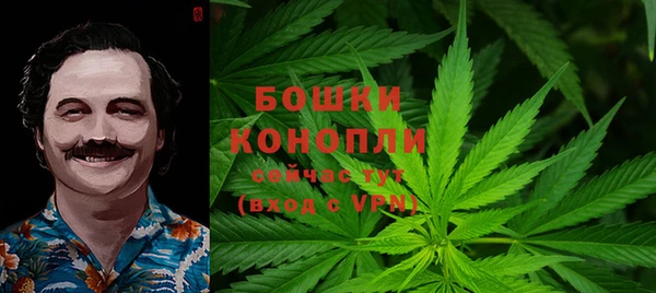 не бодяженный Ельня